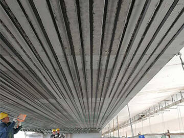 The Bridge Repair, Protection, Structural Strengthening